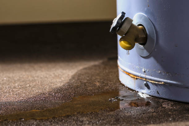 Best Basement water damage restoration  in Highland Falls, NY