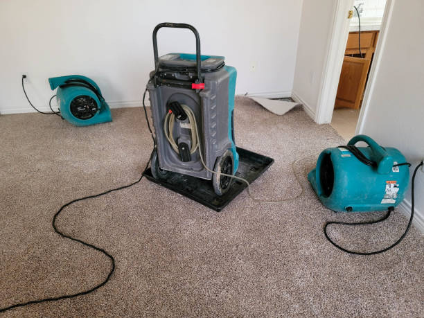 Best Fire Damage Restoration  in Highland Falls, NY