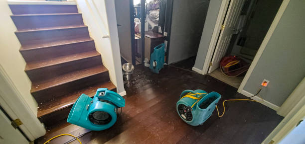 Best Water damage cleanup near me  in Highland Falls, NY