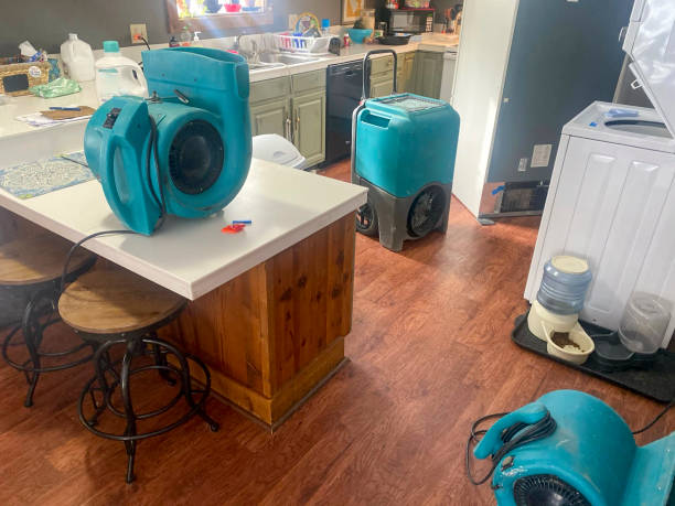 Best Water damage restoration insurance claims  in Highland Falls, NY