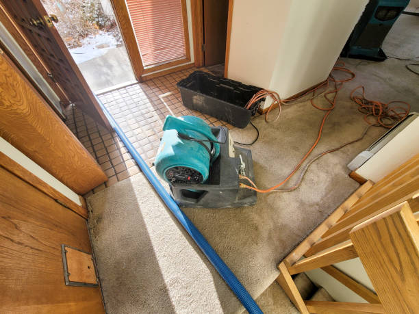 Best Water damage restoration cost  in Highland Falls, NY