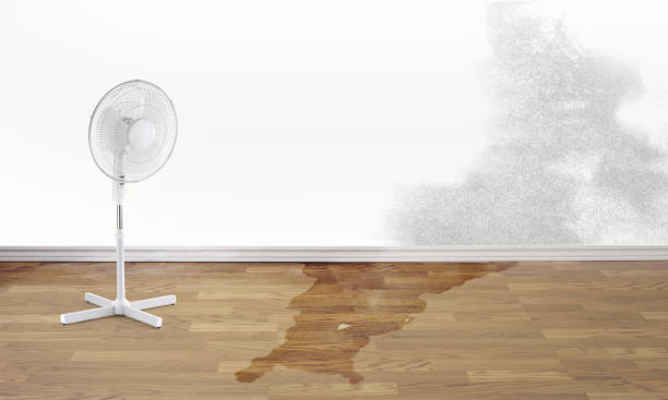 Best Water damage contractors near me  in Highland Falls, NY