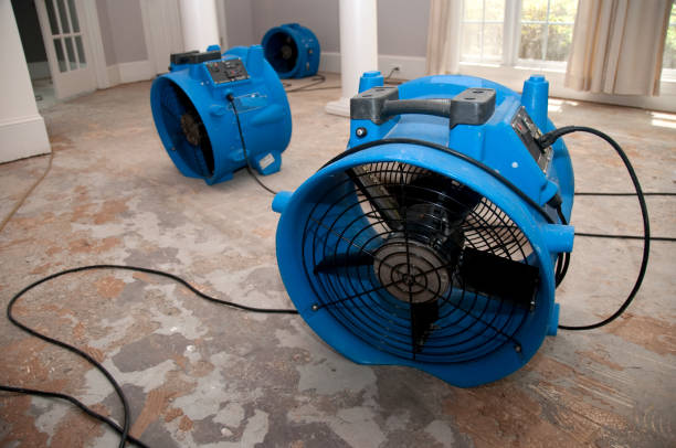 Best Flooded house restoration  in Highland Falls, NY