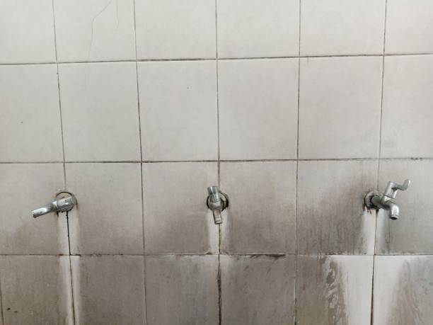 Best Professional water damage repair  in Highland Falls, NY