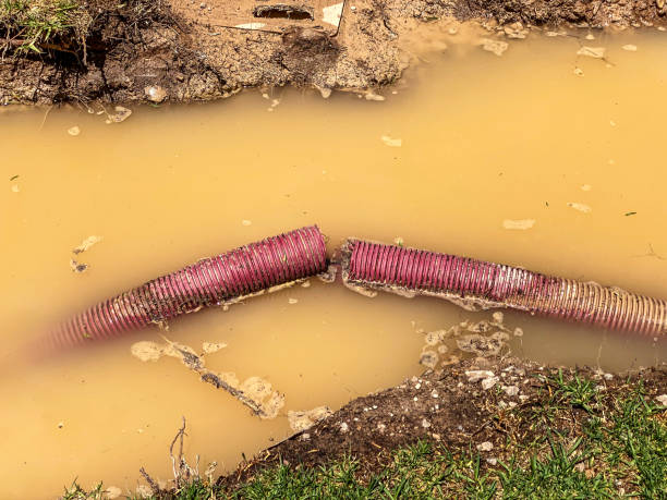 Best Flood restoration services  in Highland Falls, NY
