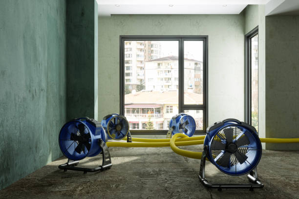 Best Water damage restoration mold remediation  in Highland Falls, NY